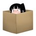 Shybox (@shyboxntr) Twitter profile photo Shybox (@shyboxntr) Twitter profile photo