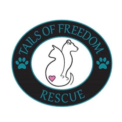 Rescue the mistreated. Save the injured. Love the abandoned. Since 2019, we have rescued over 1700 animals and counting. visit our website for adoption info!