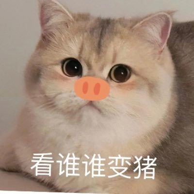 zhangzhangyaon1's profile picture. 记录ghs日常的小号😛