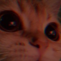 Canam (@canamlol) 's Twitter Profile