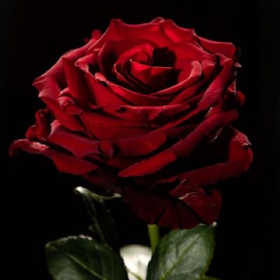 DurgaRa46592708's profile picture. I am unique