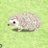 いるかのアイコン