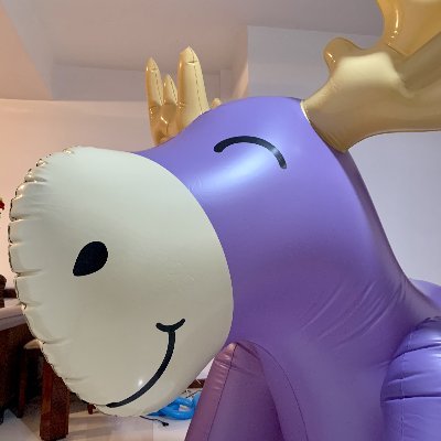 Straight brazilian Collector, love latex and mylar balloons and inflatables too!
FREE videos on Telegram!! Enjoy!!
WARNING: NSFW, SO 18+ ONLY