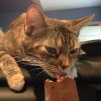 TED1776 (@fedupenough2024) 's Twitter Profile