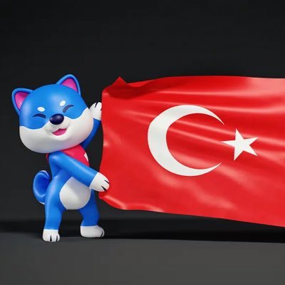 Transfer ücreti olmayan, ışık hızında ve çevre dostu #metaverse #memecoin'i @vitainucoin ‘nin Türkçe resmi hesabıdır. 🇹🇷 Telegram: https://t.co/WtN2AYM6OM