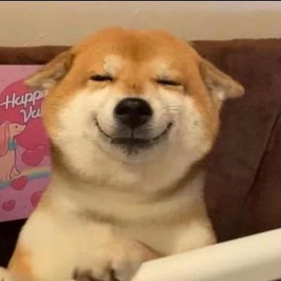 cdm26048262's profile picture. 合肥摄影，各种风格皆可
约拍合作私信，不卖图