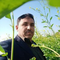 suleman khel (@sulemankhel8) 's Twitter Profile