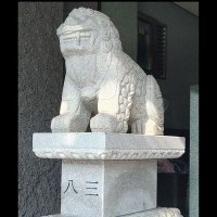 83. (@sooldog83) 's Twitter Profile Photo 83. (@sooldog83) 's Twitter Profile Photo