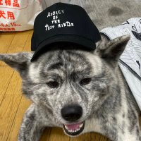 COCO ☺︎ (@aotms2saki) 's Twitter Profile