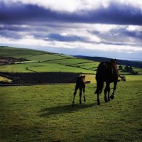 Ferdlant Stud (@ferdlantstud) 's Twitter Profile Photo Ferdlant Stud (@ferdlantstud) 's Twitter Profile Photo