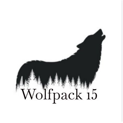 Looking for Wolfpack members to find exceptional stocks, PE and VC...
Past 30 years as outperforming PM
Now Private Investor and Educator.
Not Investment Advice