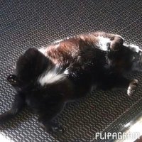 Mom. Pushover. (@splinteredones) 's Twitter Profile