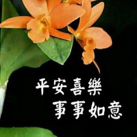 ポワソン (@popoppoisson) 's Twitter Profile