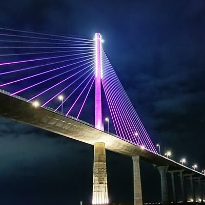 OZeigfred's profile picture. I'm unique