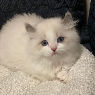 jens76603356's profile picture. 
