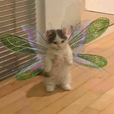 soopoool's profile picture. 어쩌다보니 .. 개발자가 되었습니다 언어는 JAVA..🤓