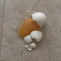 Grungus clungus (@grungusbro) 's Twitter Profile