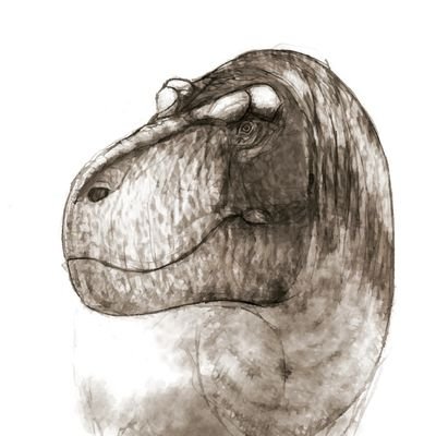 ZPerfil's profile picture. Profile and header by Jed Taylor