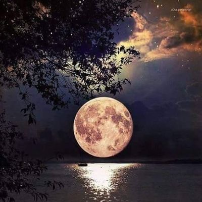 عاملات منزليات تنازل ونقل كفاله