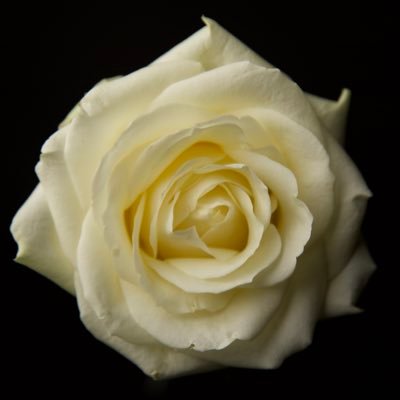 Shaiqh_7's profile picture. Une seule Fin