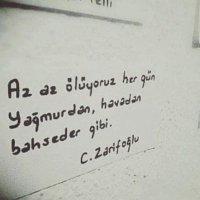 Kadir Dayınız(@kadir197777) 's Twitter Profile Photo