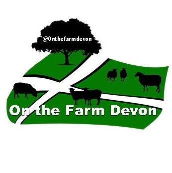 Oak Tree Farm sits in the beautiful rolling Devon hills, overlooking Exeter and the Exe estuary. Currently we have around 125 breeding ewes with followers.