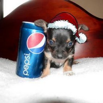 xdnjinjhunhu's profile picture. 