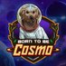 Born to be Cosmo (@borntobecosmo) Twitter profile photo Born to be Cosmo (@borntobecosmo) Twitter profile photo