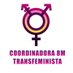 Coordinadora Transfeminista 8M Mallorca (@8mCoordinadora) Twitter profile photo