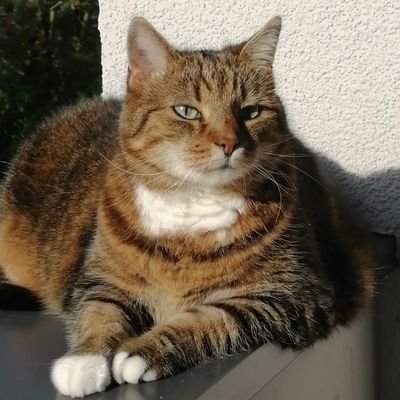 Jakub54022899's profile picture. Strefa wolna od nienawiści ✝️🇵🇱🏳️‍🌈
Dyrygent, organista,
kierownik pociągu