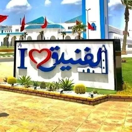 TnineArafa1's profile picture. الحمد لله على كل حال