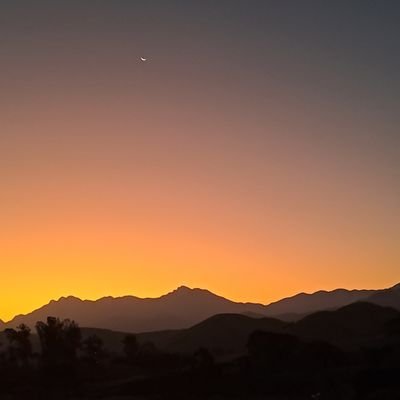 pavepepi's profile picture. 