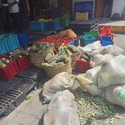 Agro fruit and vegetables