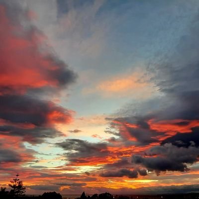 nanoxenko's profile picture. 