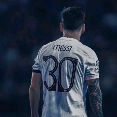 SentedSul's profile picture. ..