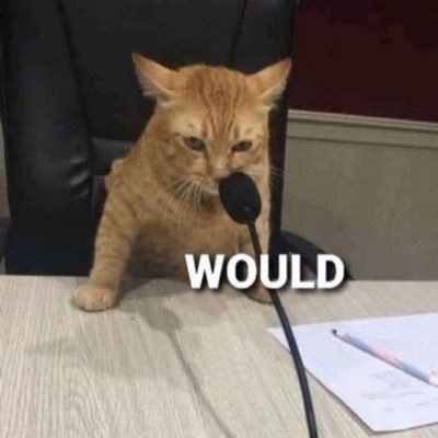 wou1dwou1d's profile picture. Would