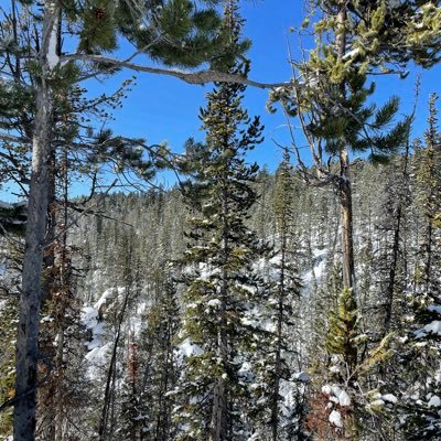 miamccaffrey72's profile picture. 