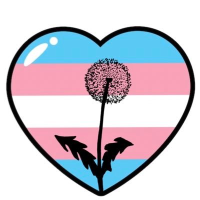 Home for updates on Trans Rights activism in Oklahoma.