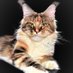 Julia Schmidt (@juliasc96633057) Twitter profile photo Julia Schmidt (@juliasc96633057) Twitter profile photo