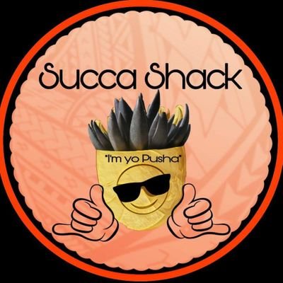 SuccaShack Profile Picture