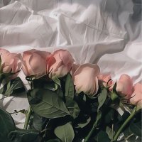 ᴛᴇʟᴇᴘᴀᴛʜʏ 🧸 | เมนชั่นไม่แจ้งเตือน (@nxxi94) 's Twitter Profile Photo