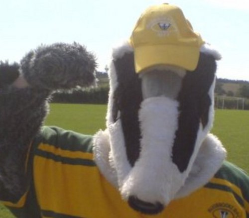 BugbrookeBadger Profile