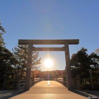 Daily Wkky News (@wkywkywkky) Twitter profile photo