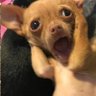 ajmakseoli's profile picture. 