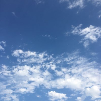 SDcardJones's profile picture. 