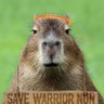 NunsAndTheirDr's profile picture. Can't believe we almost did #SaveWarriorNun 
And that my comfort shows keep getting cancelled #SaveWOT #TheWheelOfTime
(she/her)