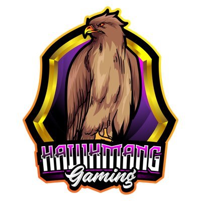 Tim, AKA HAWKMANG AKA HAWK!! Welcome to the Hawks Den! Content will mostly consist of me gaming: racing games, FPS, RPG and a dash of Simulators.