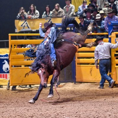 Professional Bareback Rider. Veteran. 173RD ABN. Timber Run Kennels. Owner of Three Crosses Taxidermy