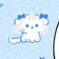 𝐬𝐚𝐦𝐚𝐧𝐭𝐡𝐚 🩵 (@palestblue_) 's Twitter Profile Photo 𝐬𝐚𝐦𝐚𝐧𝐭𝐡𝐚 🩵 (@palestblue_) 's Twitter Profile Photo