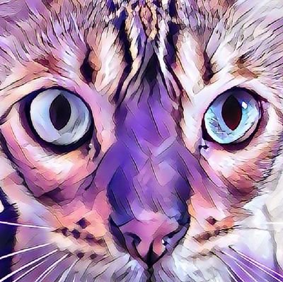 Hi please follow for my bengal cat NFTs his name is Pancake.
Art creation of bengal cat syfy and alien  NFTs